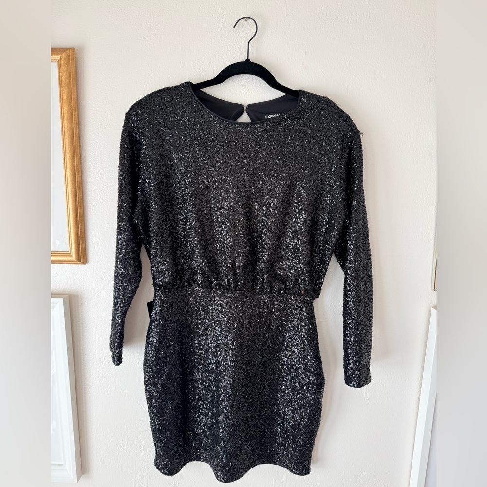 Express Shimmering Black Sequin Dress